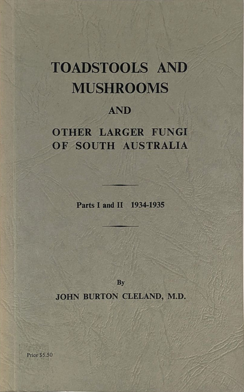 Toadstools and Mushrooms