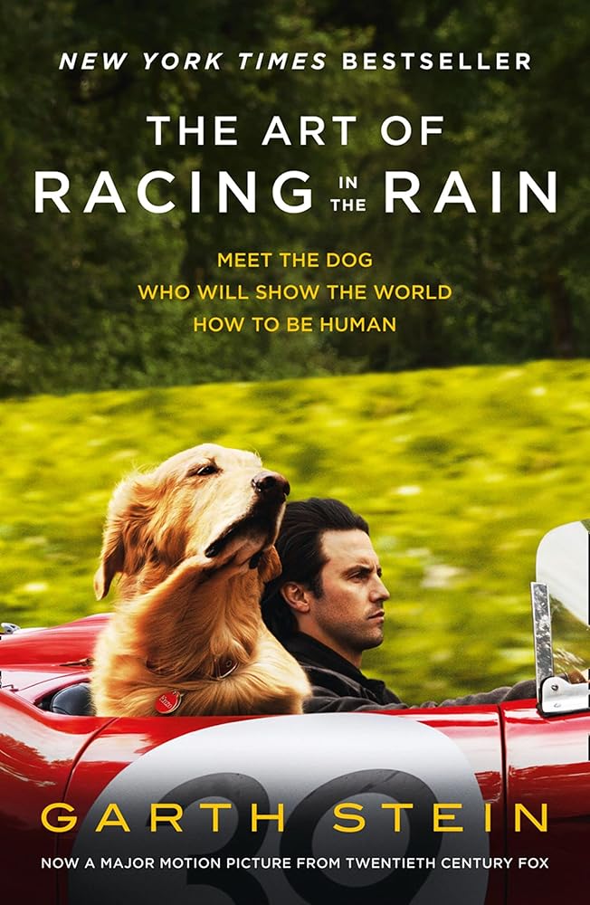 The Art of Racing in the Rain cover image