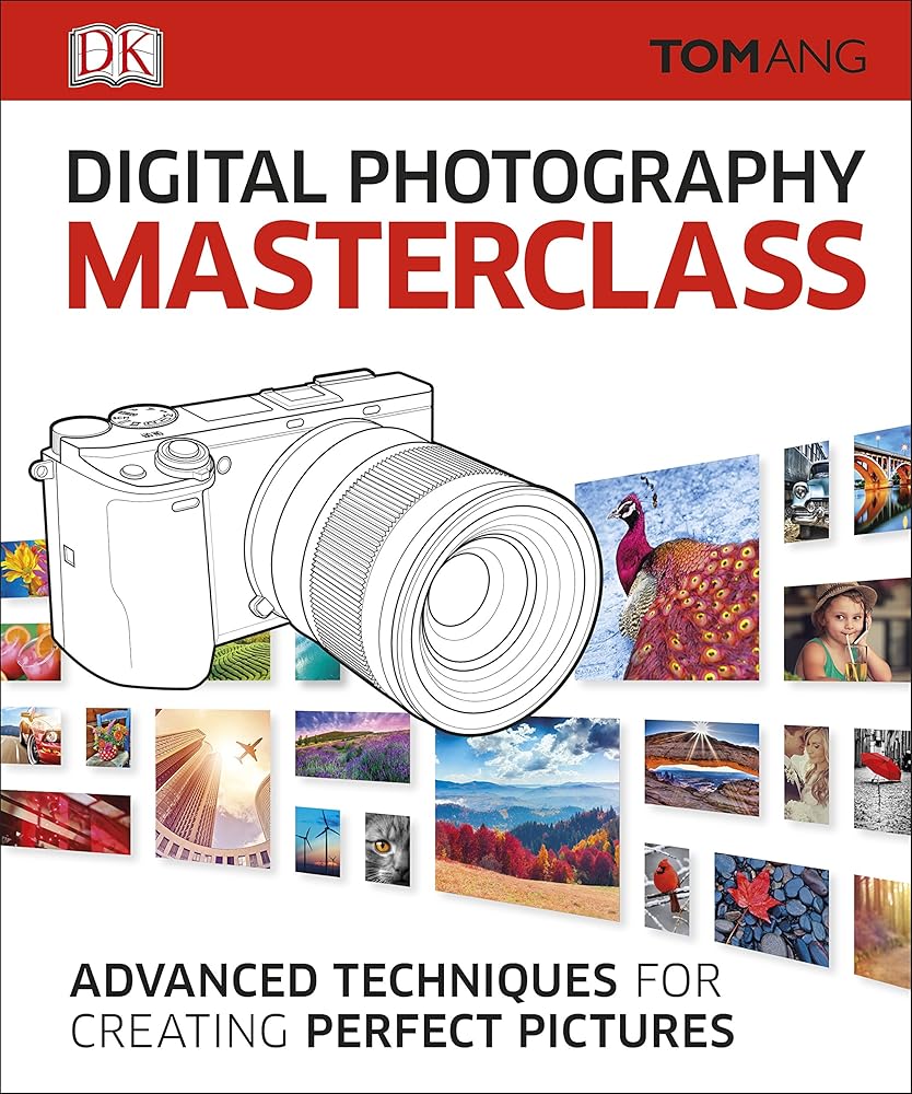 Digital Photography Masterclass: Advanced Techniques for Creating Perfect Pictures cover image