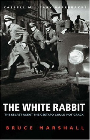The White Rabbit: The Secret Agent the Gestapo Could Not Crack cover image