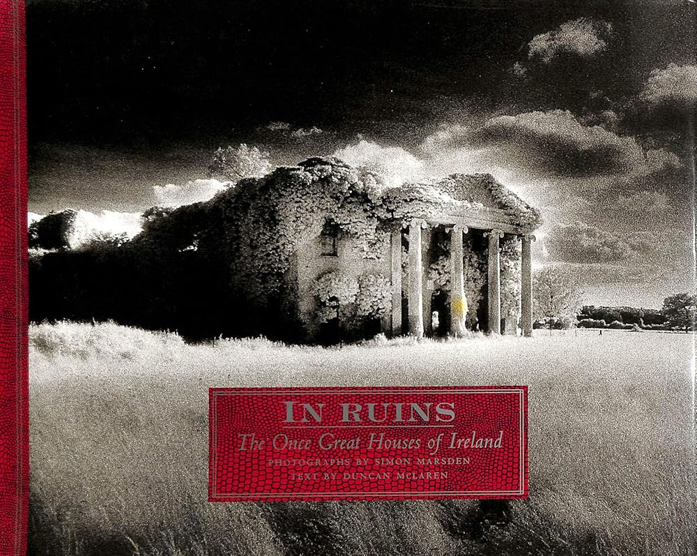 In Ruins: The Once Great Houses of Ireland cover image