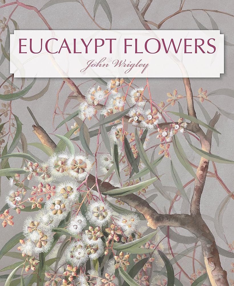 Eucalypt Flowers cover image