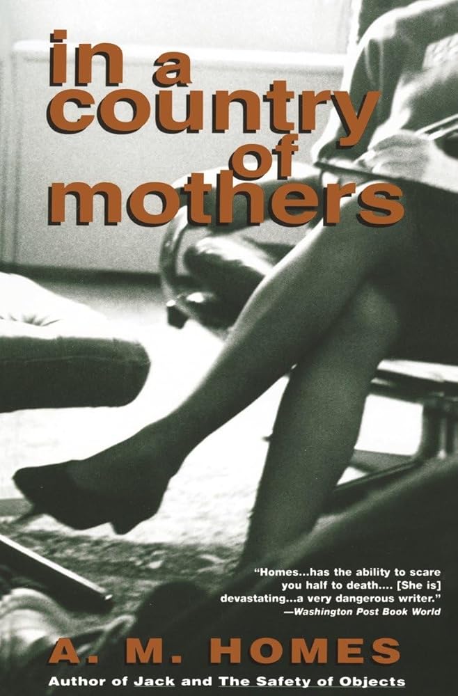 In a Country of Mothers cover image
