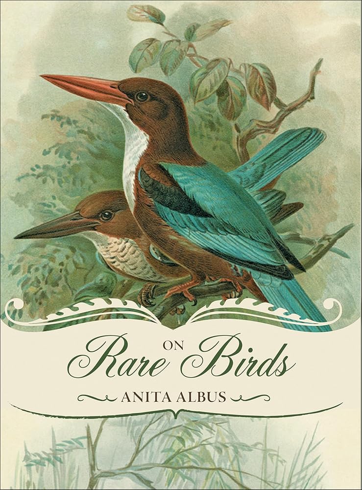 On Rare Birds cover image