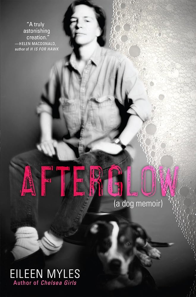 Afterglow (a dog memoir) cover image