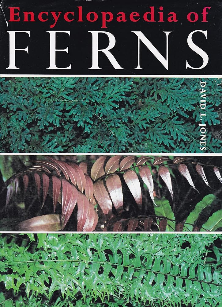 Encyclopaedia of Ferns cover image