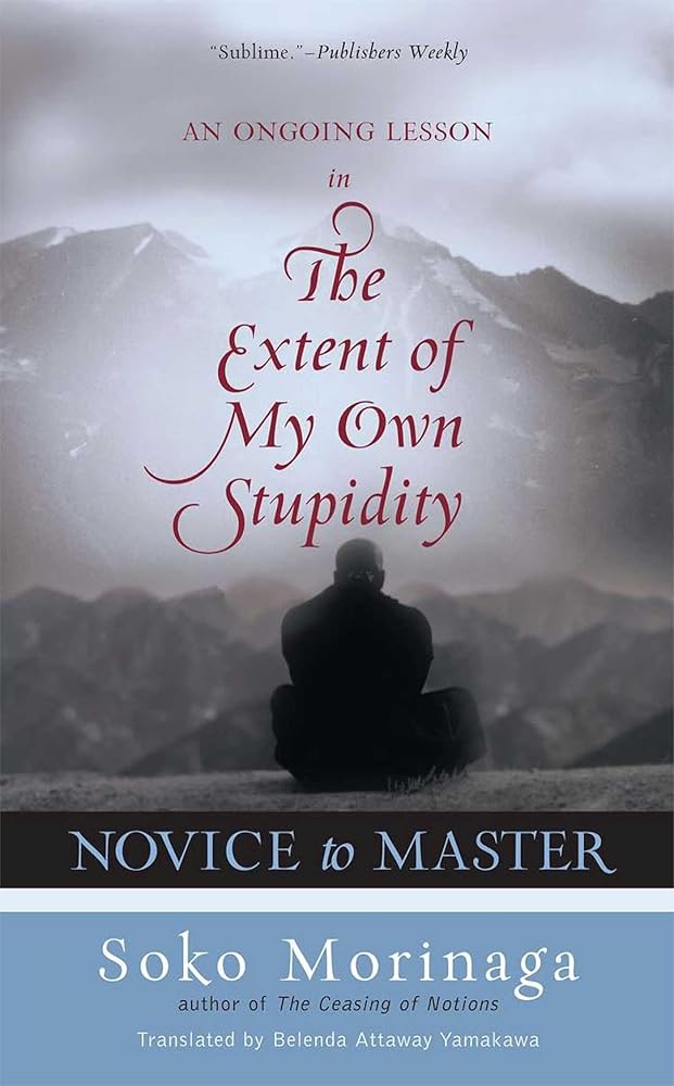 Novice to Master: An Ongoing Lesson in the Extent of My Own Stupidity cover image