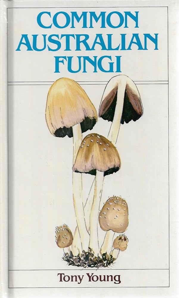 Common Australian Fungi cover image
