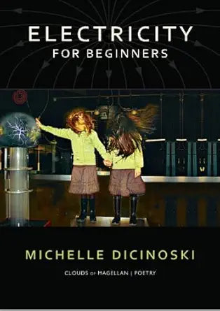 Electricity for Beginners cover image