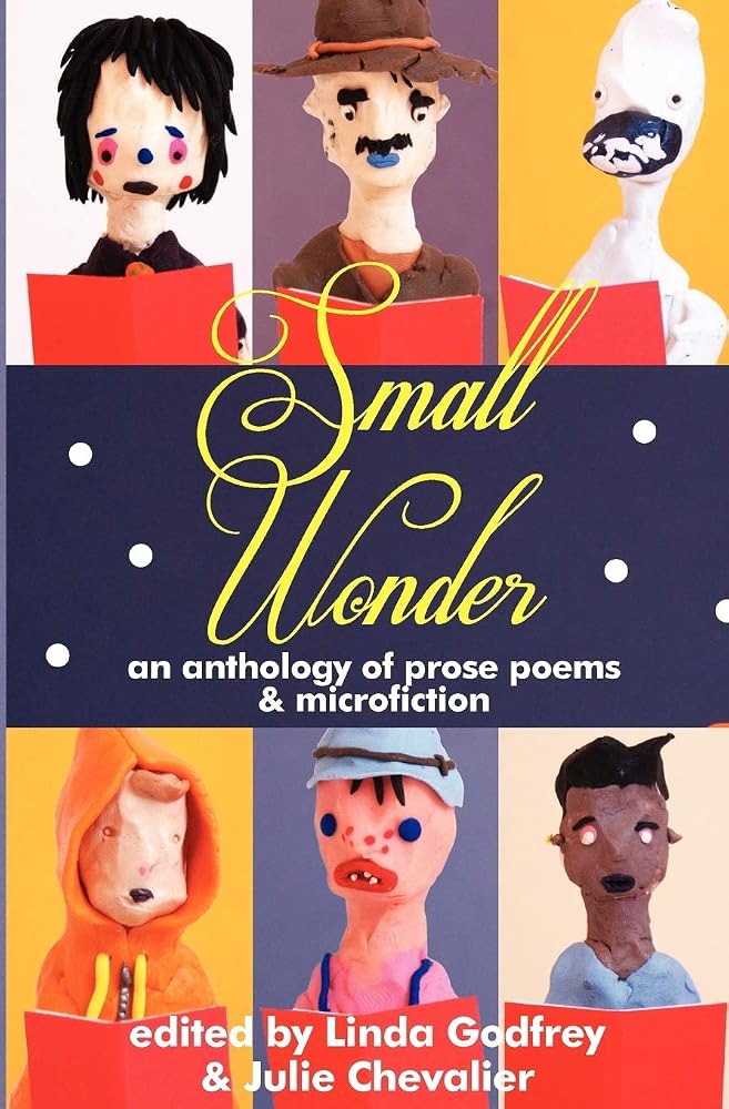 Small Wonder cover image