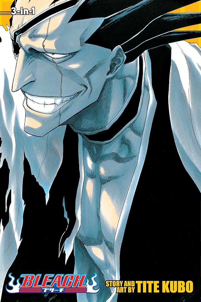 Bleach (3-in-1 Edition), Vol. 5 cover image