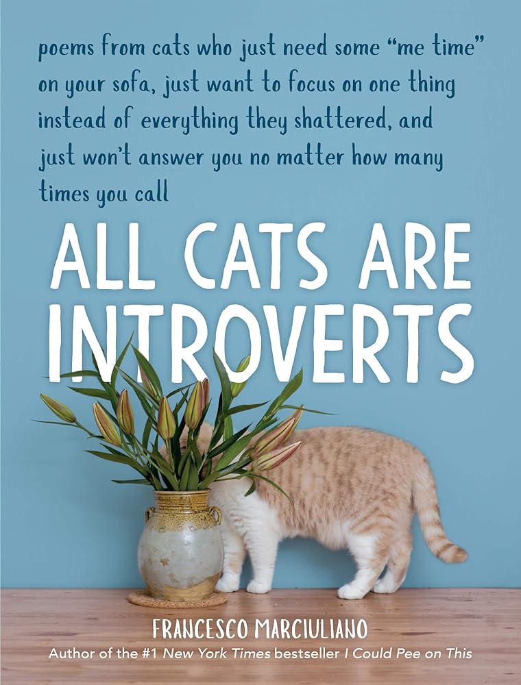 All Cats Are Introverts cover image