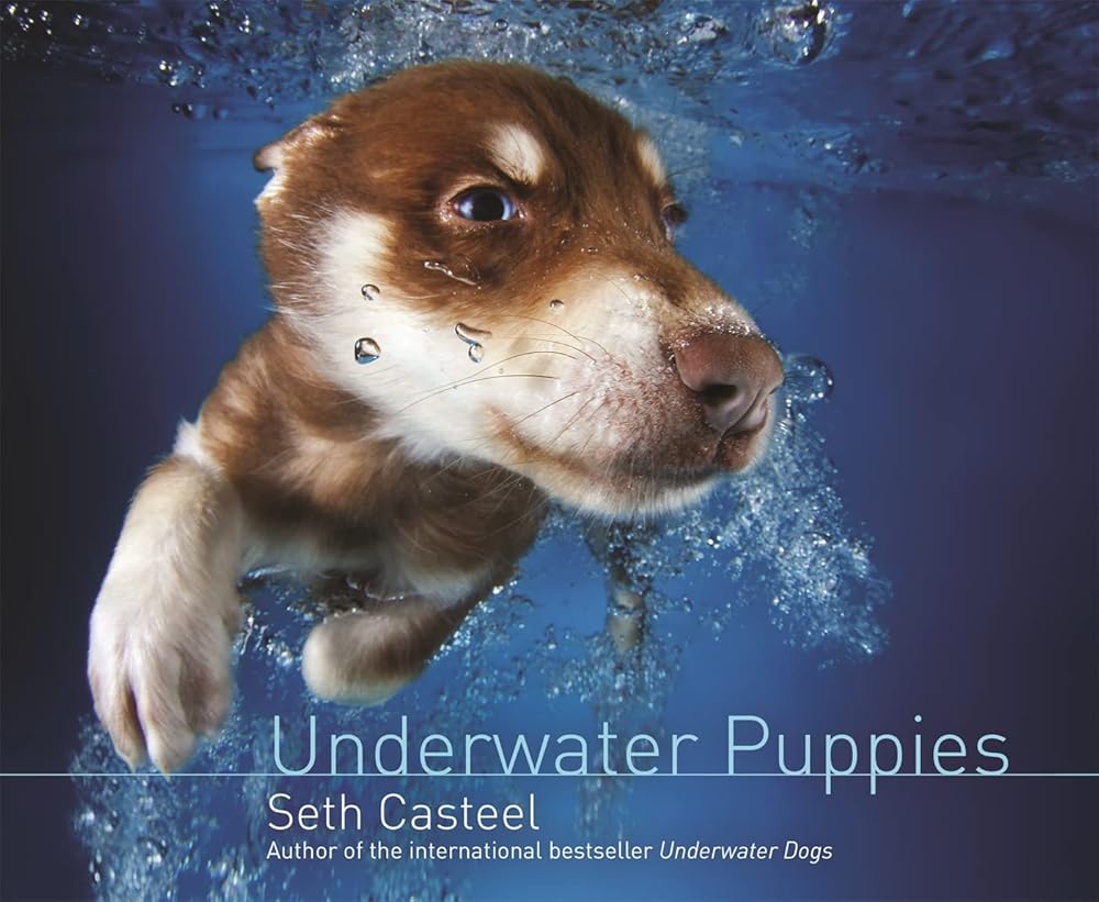 Underwater Puppies cover image