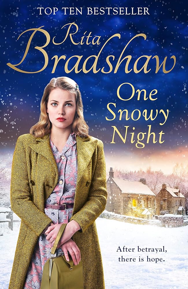 One Snowy Night cover image