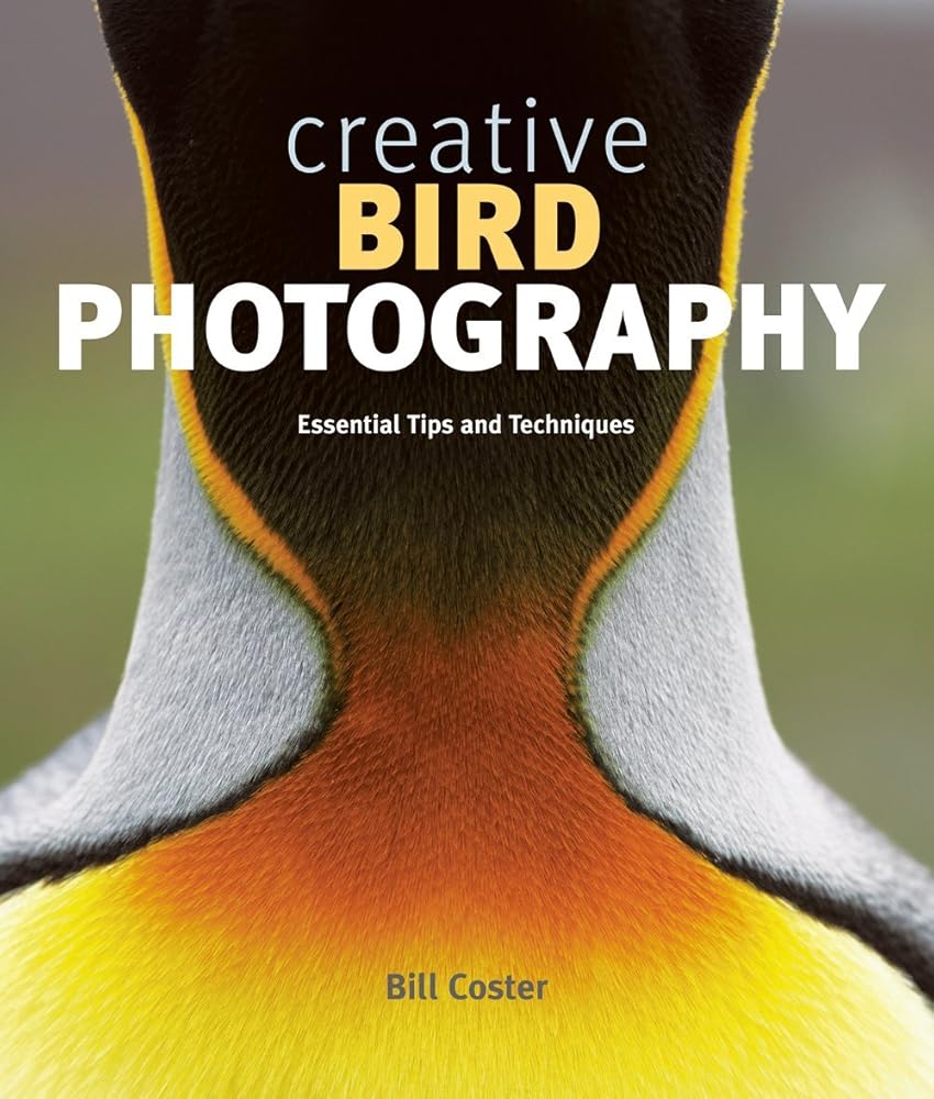 Creative Bird Photography: Essential Tips and Techniques cover image