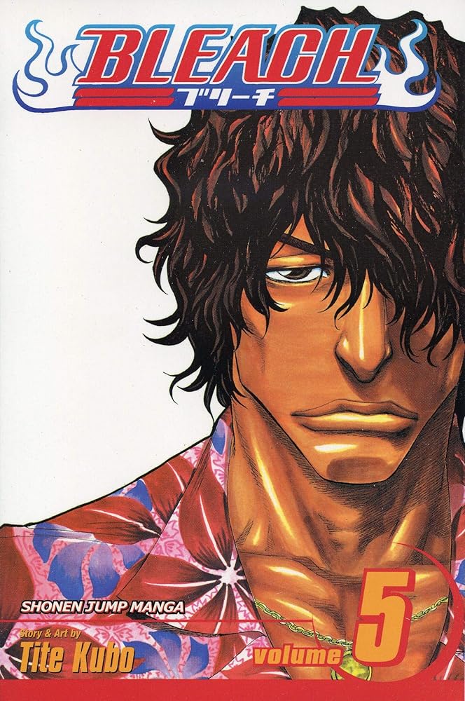 Bleach, Vol. 5 cover image