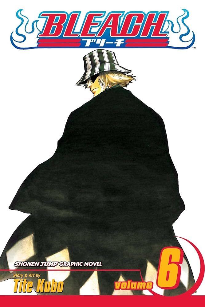 Bleach, Vol. 6 cover image
