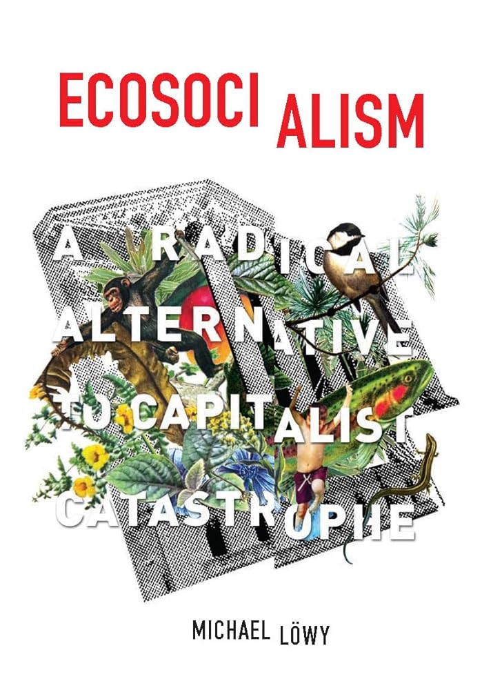 Ecosocialism: A Radical Alternative to Capitalist Catastrophe cover image