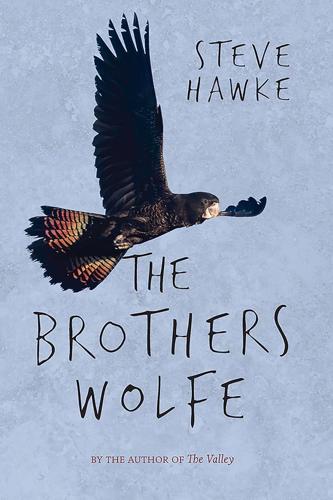 The Brothers Wolfe cover image