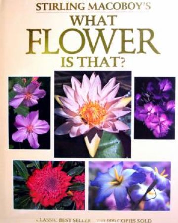 What Flower is That?