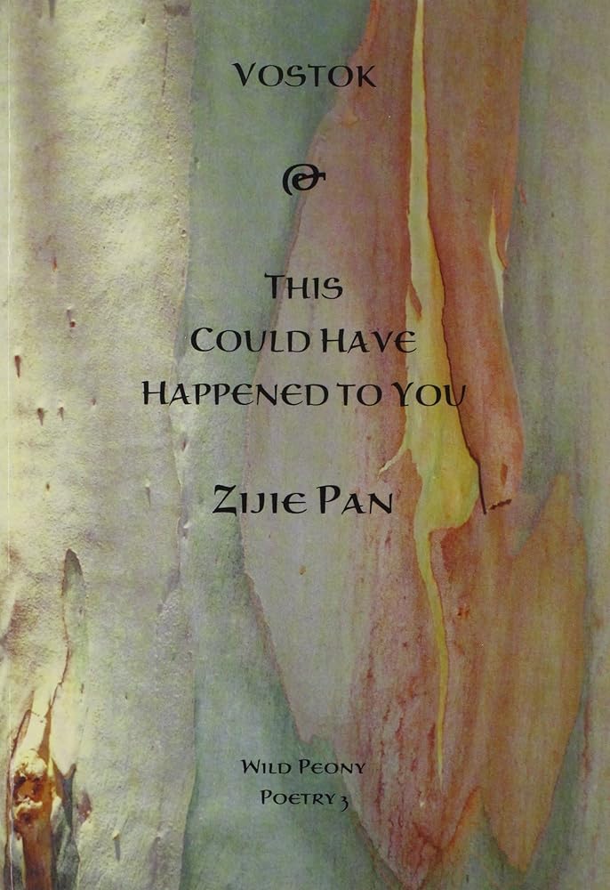 Vostock & Maybe This Could Have Happen to You cover image