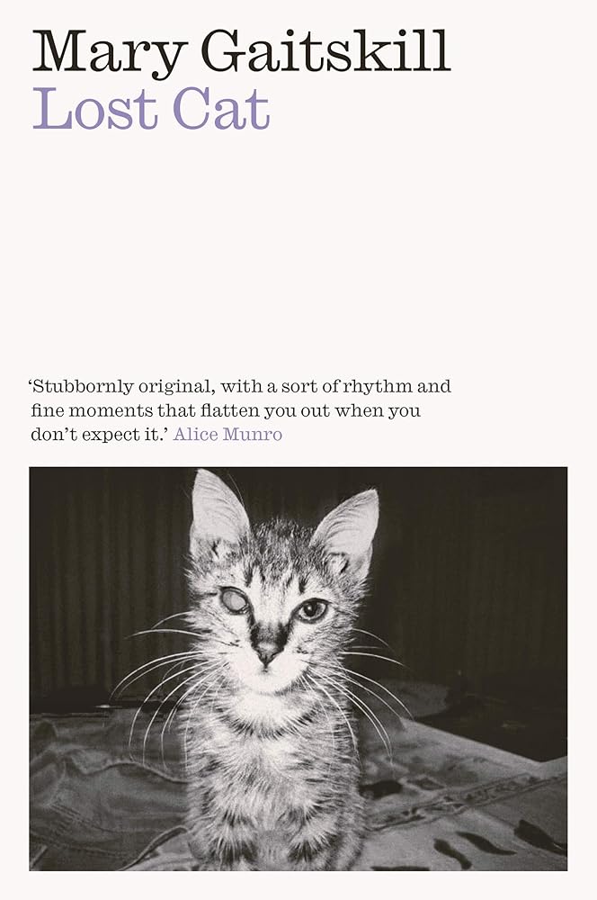 Lost Cat cover image