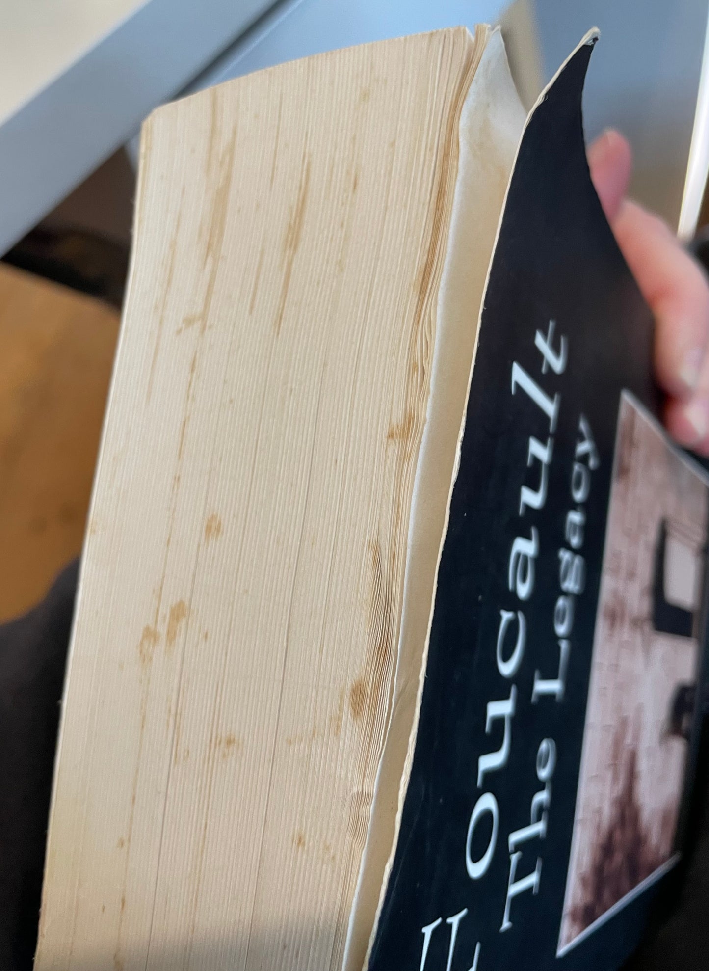 Foucault: The Legacy