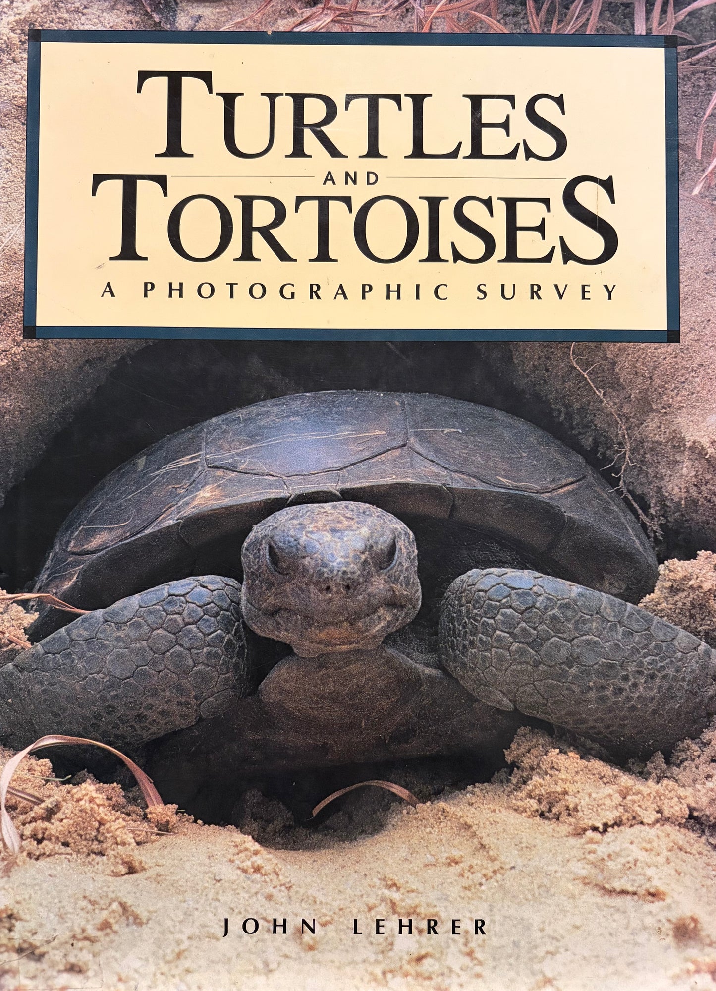 Turtles and Tortoises: A Photographic Survey
