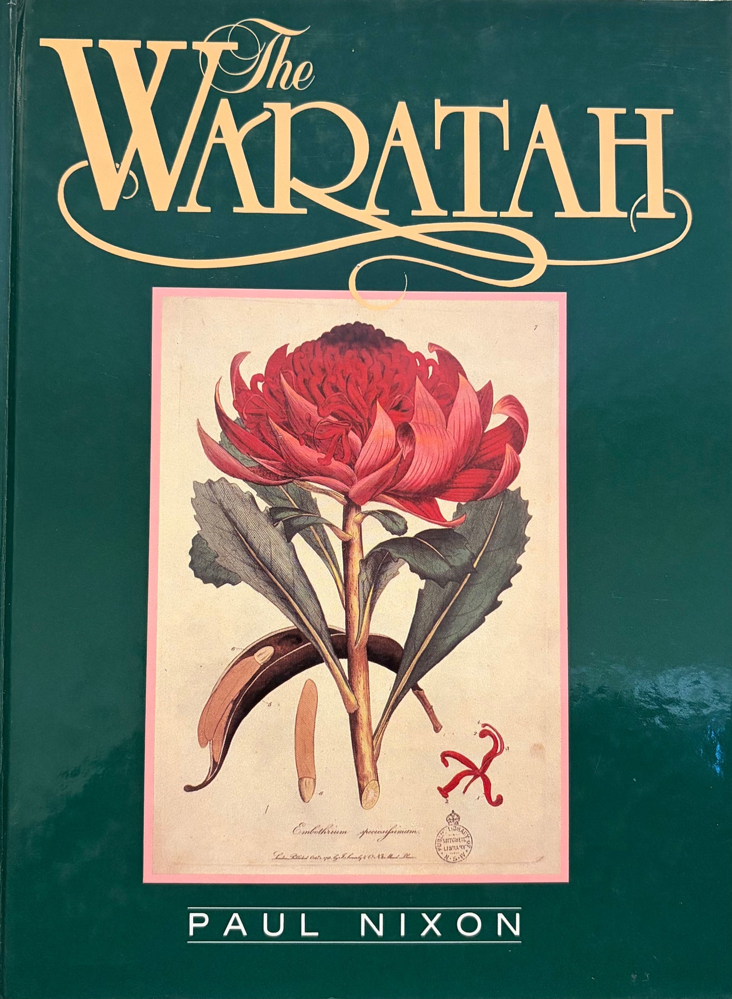 The Waratah