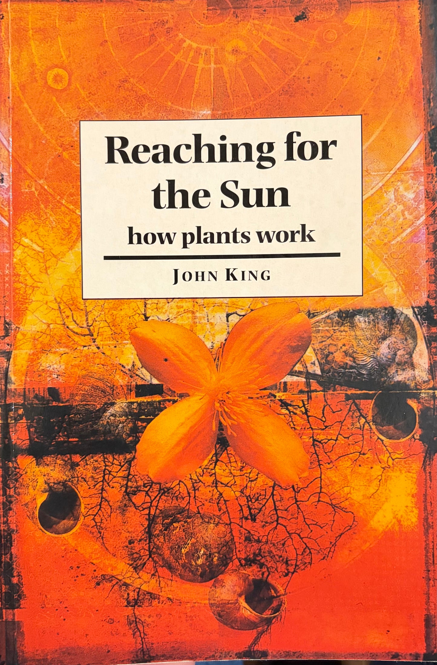 Reaching for the Sun: How Plants Work