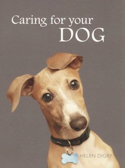 Caring For Your Dog