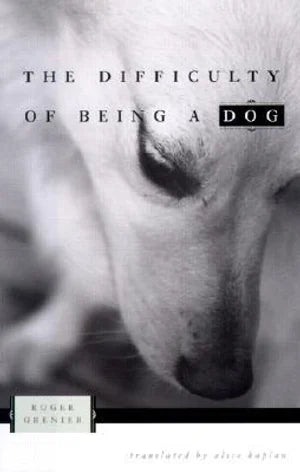The Difficulty of Being a Dog