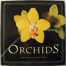 Orchids