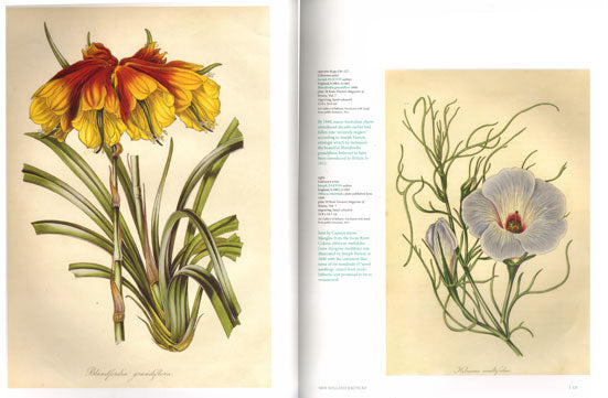 Australia: 300 Years of Botanical Illustration