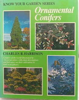 Ornamental Conifers