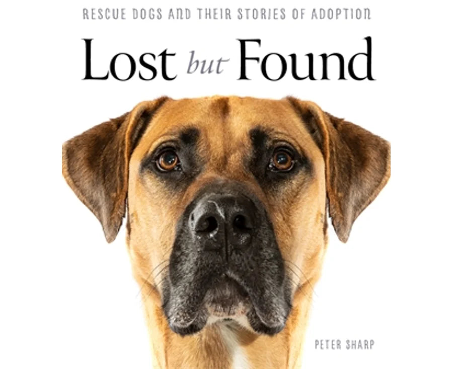 Lost But Found