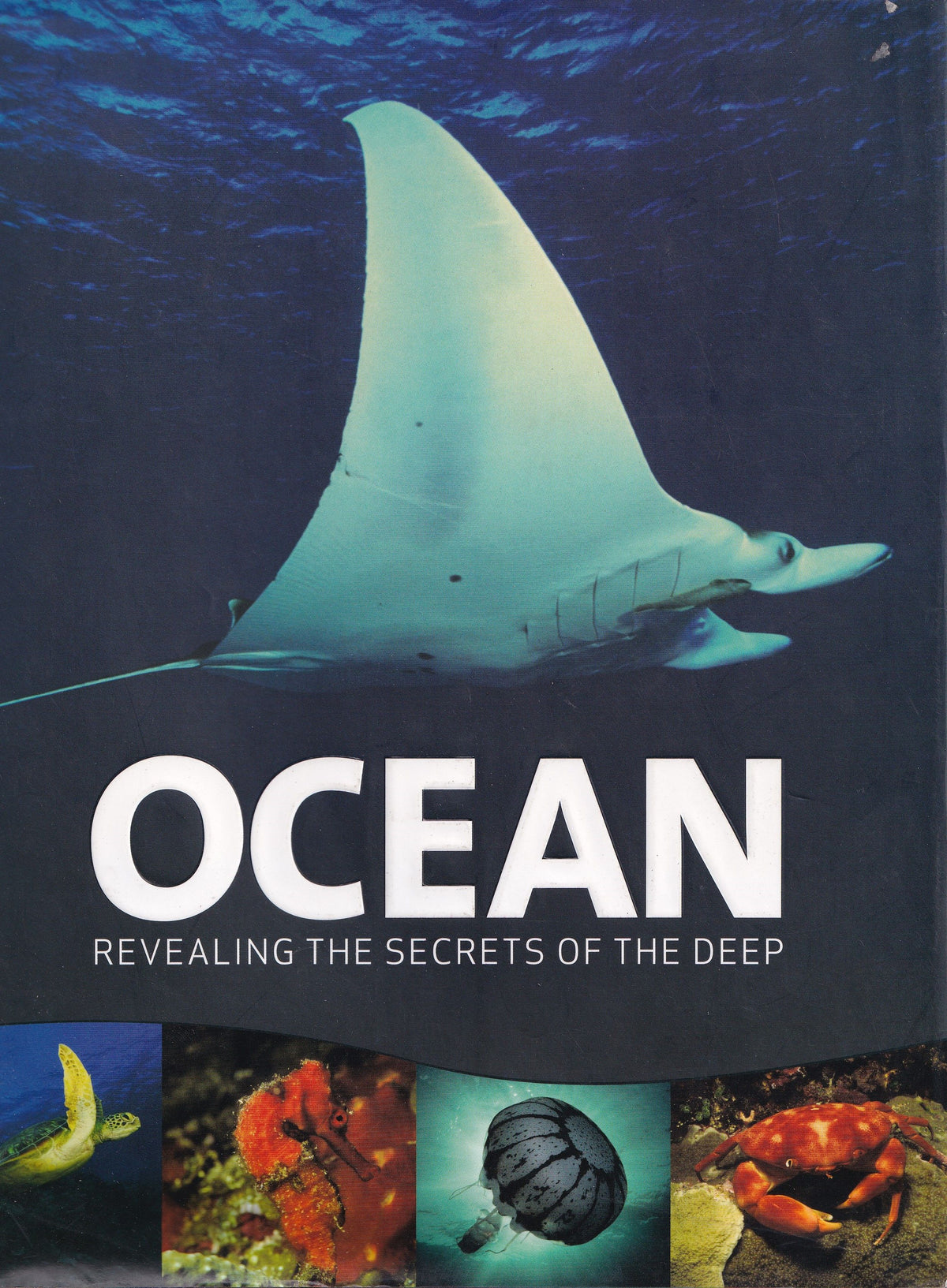 Ocean: Secrets of the Deep