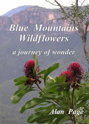 Blue Mountains Wildflowers: A Journey of Wonder