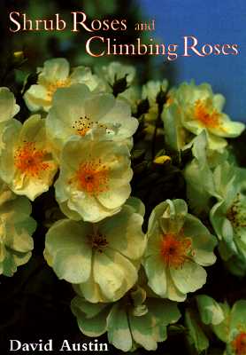 Shrub Roses and Climbing Roses
