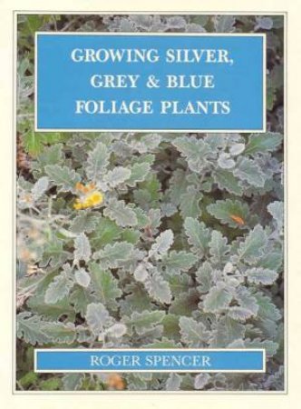 Growing Silver, Grey and Blue Foliage Plants