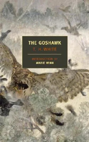 The Goshawk