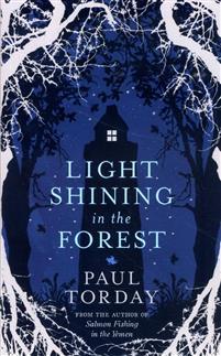 Light Shining In The Forest