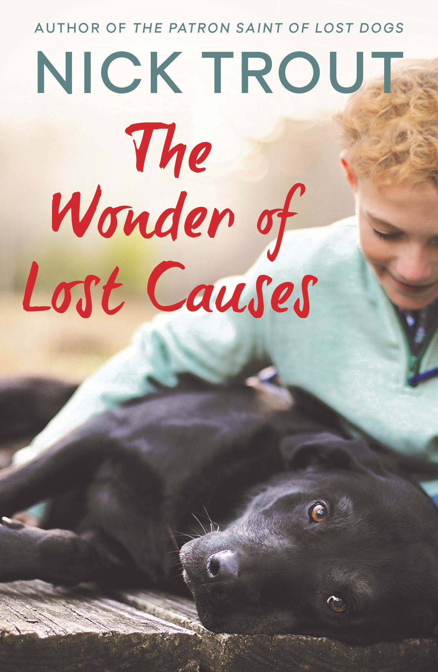 The Wonder of Lost Causes