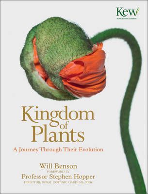 The Kingdom of Plants: A Journey Through Their Evolution