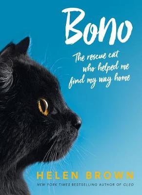 Bono: The Rescue Cat Who Helped Me Find My Way Home