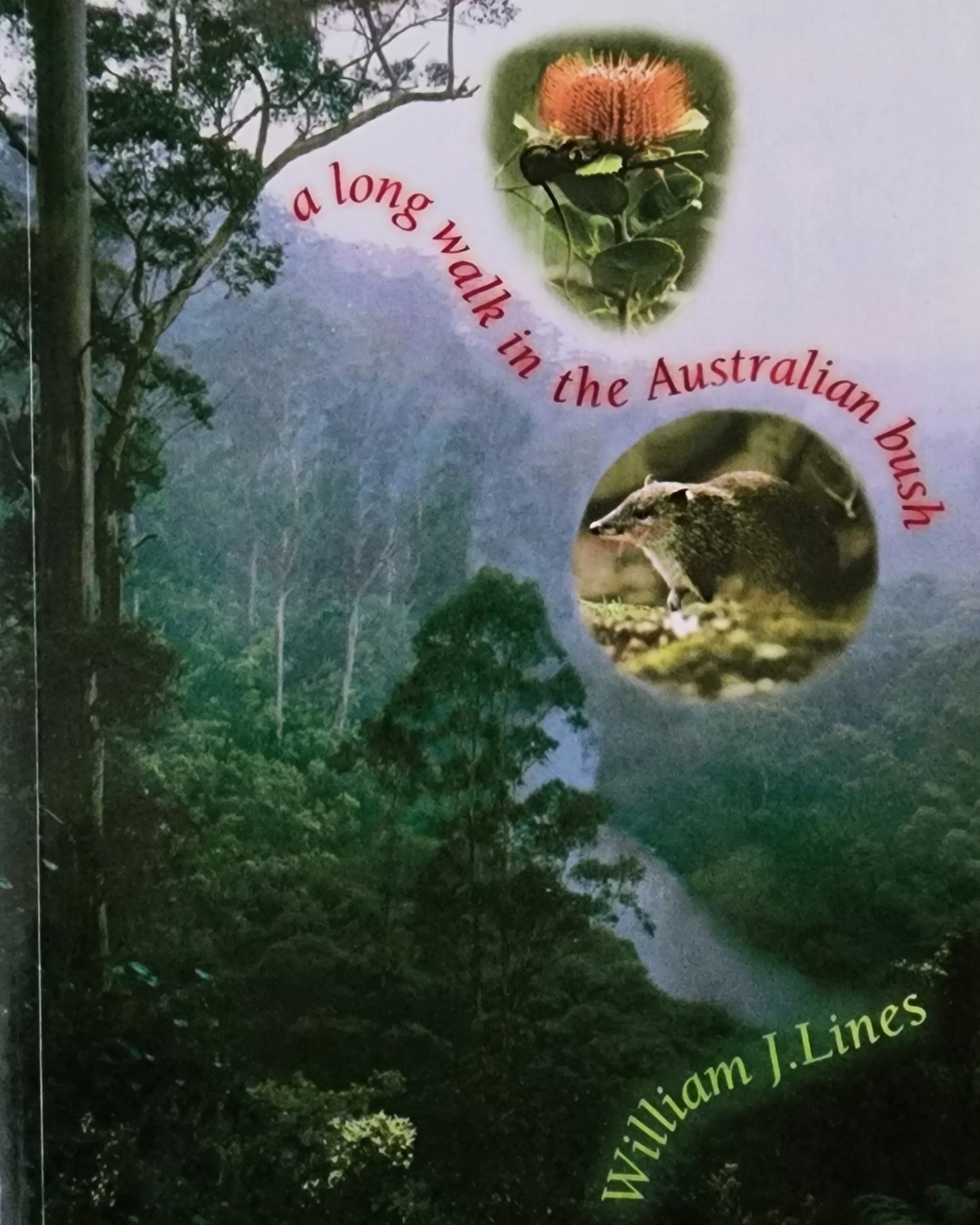 A Long Walk in the Australian Bush (1998)