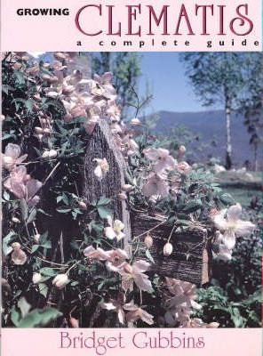 Growing Clematis: A Complete Guide