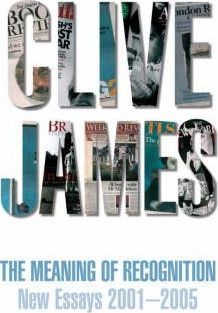 The Meaning of Recognition: New Essays 2001-2005