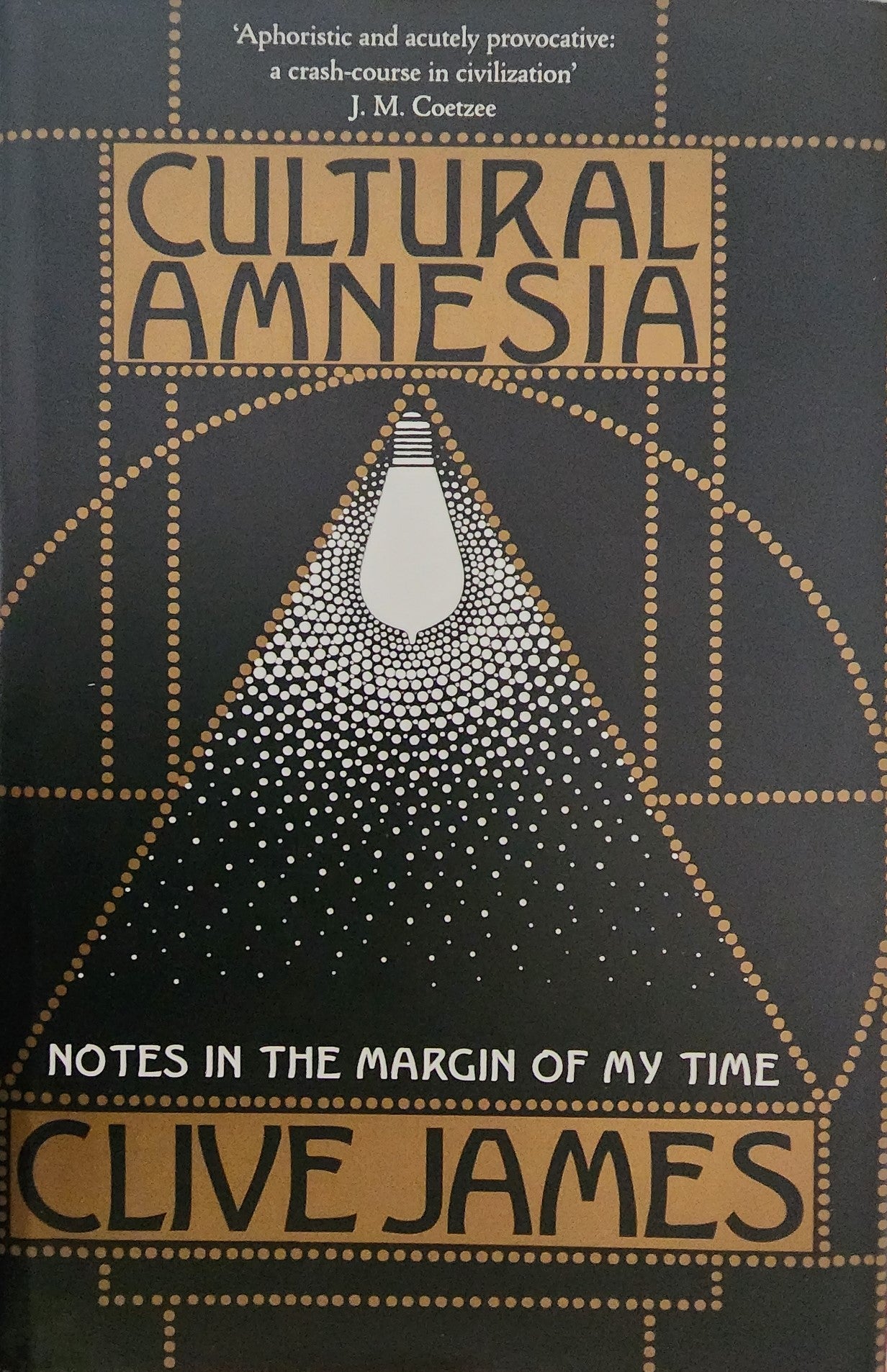 Cultural Amnesia: Notes in the Margin of My Time