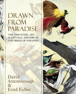 Drawn From Paradise
